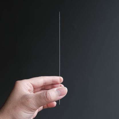 Beam Pane - for iPhone 12 Pro Max